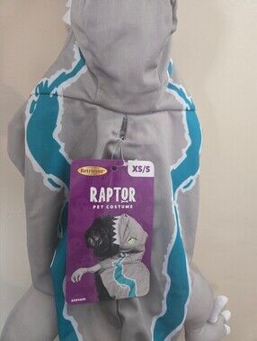 Raptor Pet Costume - Gray & Teal (XS/S)